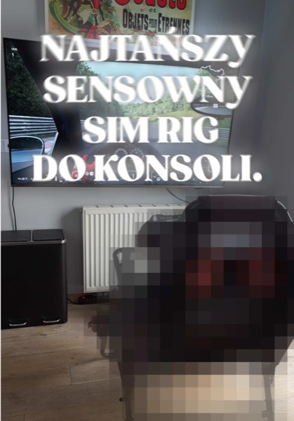 Sim racing: który zestaw?